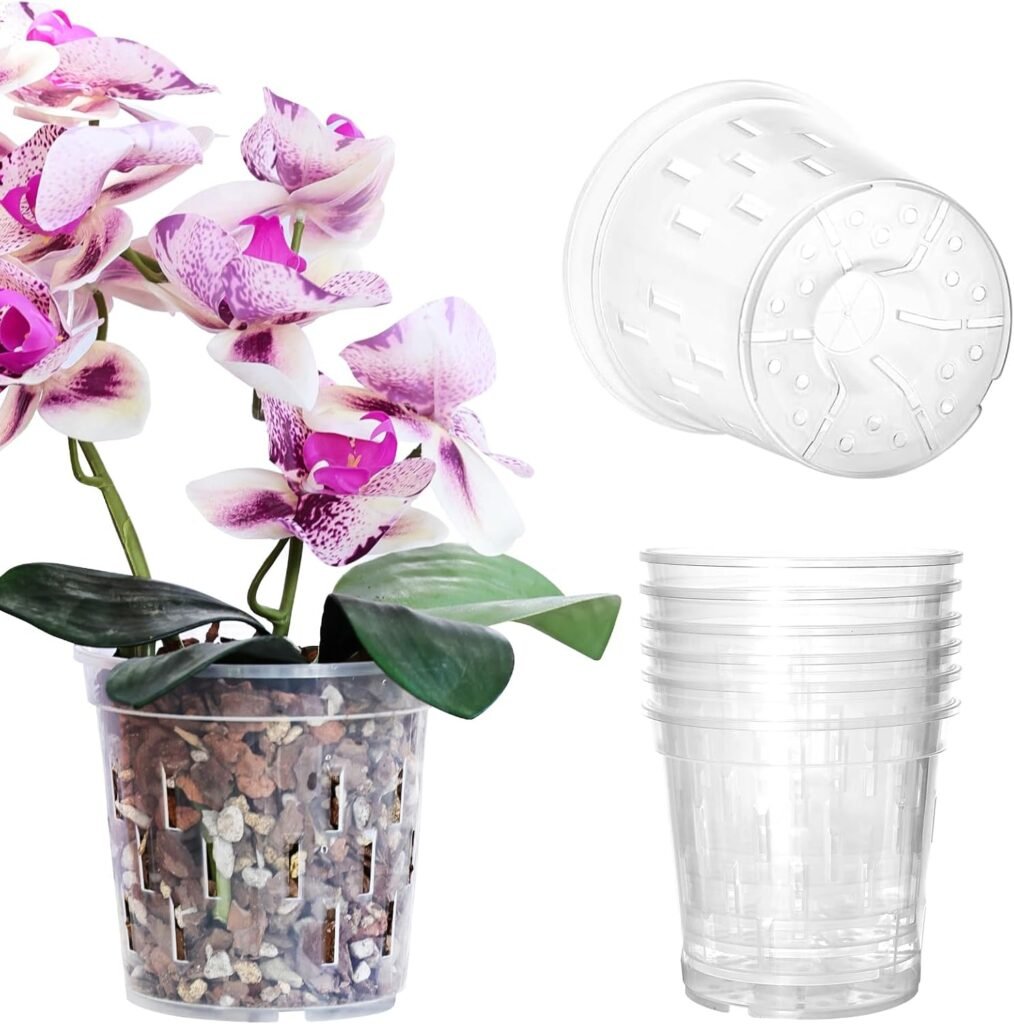 Best Pots for Orchids- Top 5 picks in 2025 Best Pots for Orchids- Top 5 picks in 2025