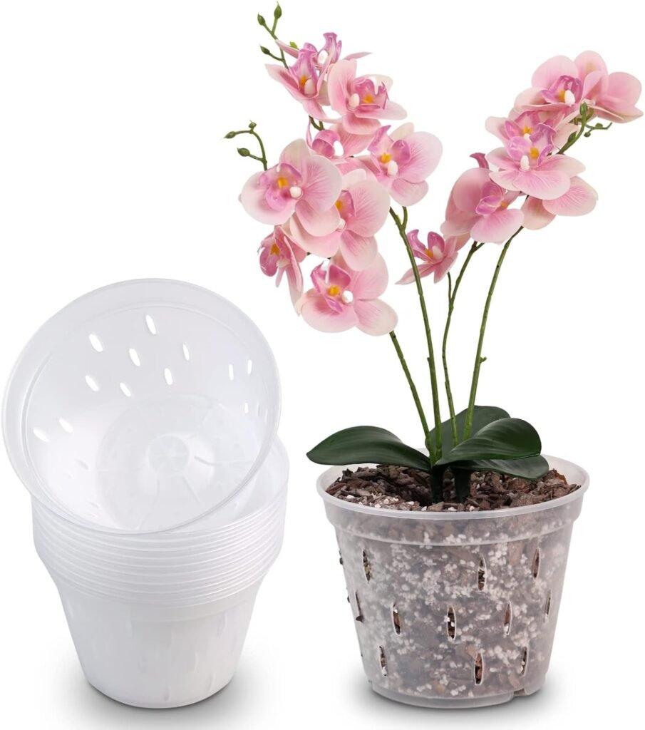 Best Pots for Orchids- Top 5 picks in 2025 Best Pots for Orchids- Top 5 picks in 2025