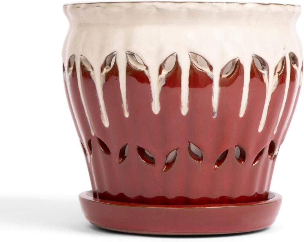 Best Pots for Orchids- Top 5 picks in 2025 Best Pots for Orchids- Top 5 picks in 2025