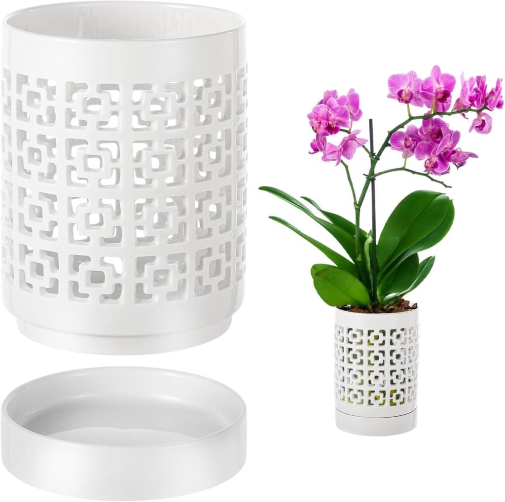 Best Pots for Orchids- Top 5 picks in 2025 Best Pots for Orchids- Top 5 picks in 2025