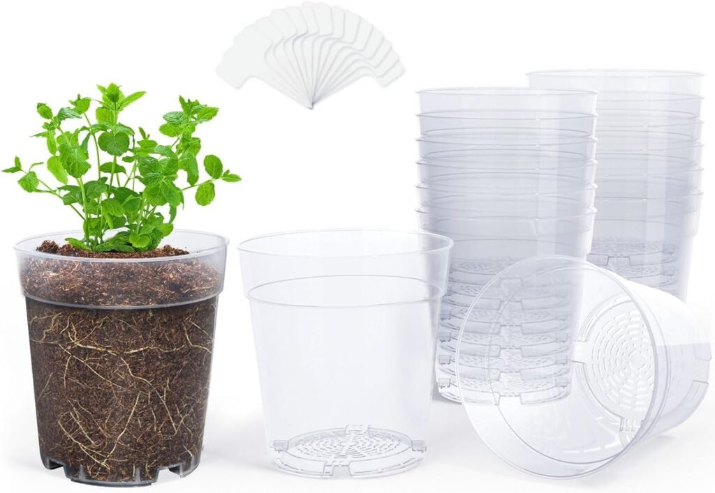 Best Pots for Orchids- Top 5 picks in 2025 Best Pots for Orchids- Top 5 picks in 2025