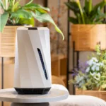 Best Humidifier for home